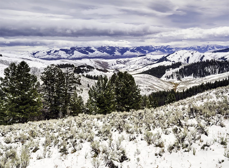 美國國家森林清單分享（二）