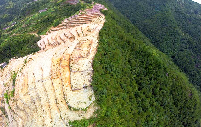 什么是森林砍伐？毀林是一個(gè)日益嚴(yán)重的全球性問題