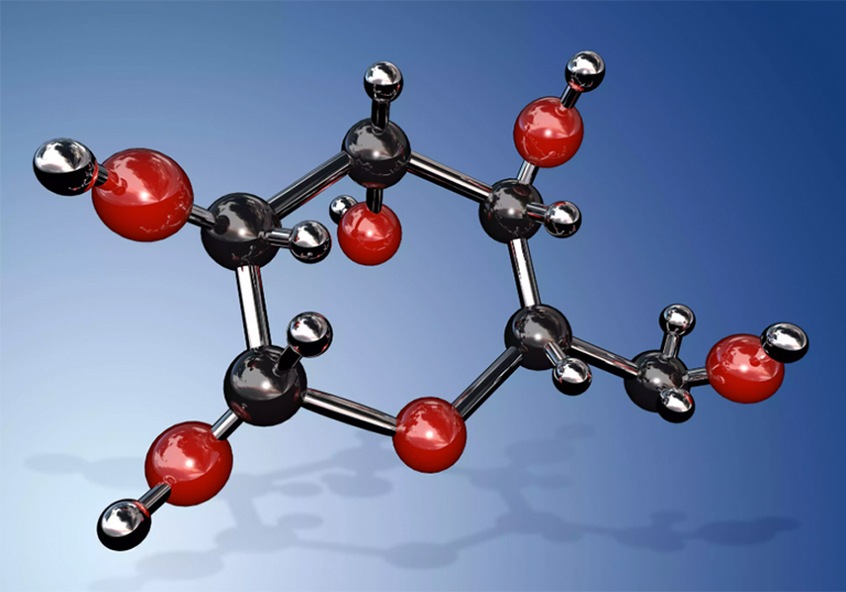 10個(gè)令人著迷的光合作用事實(shí)（一）