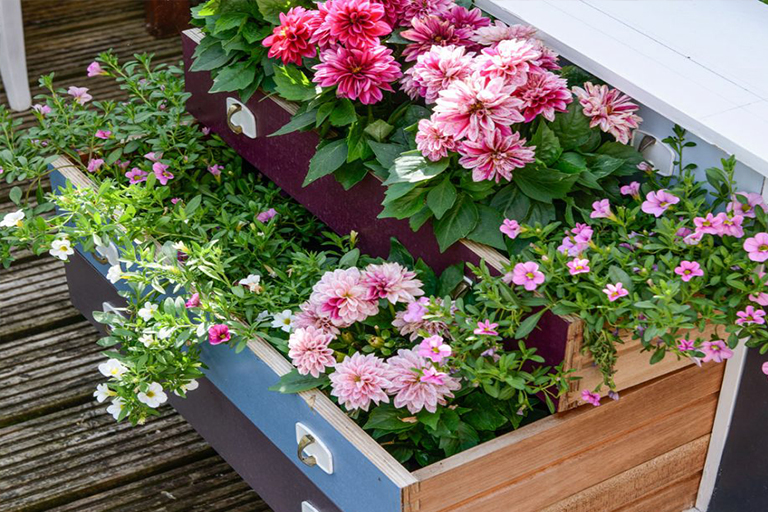 打細(xì)算經(jīng)濟(jì)型植物花園創(chuàng)意–擴(kuò)大空間而又不花錢（四）