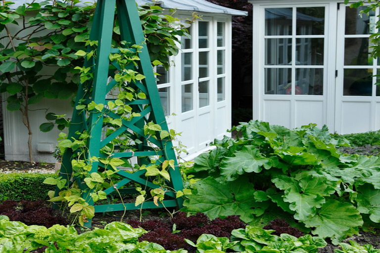 開春在植物花園的工作–準(zhǔn)備蔬菜田，種植吊籃和培育草坪（下）