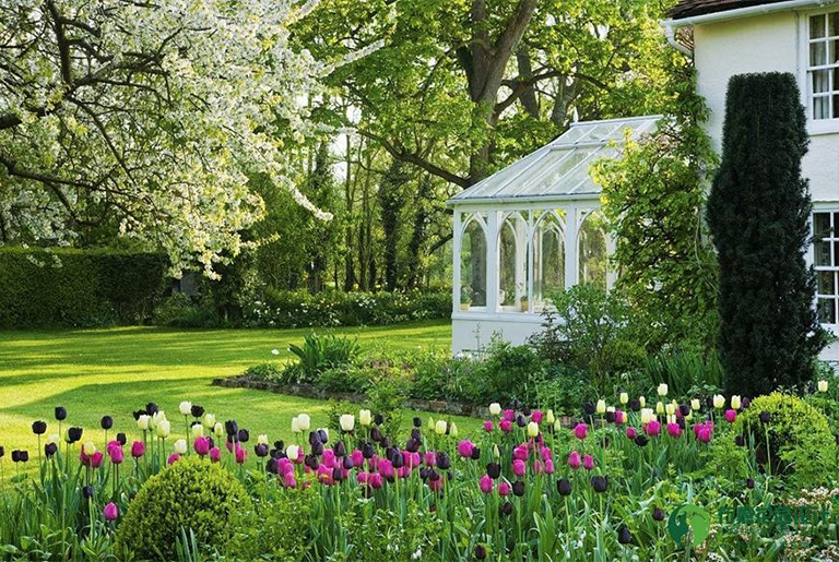 打造郁郁蔥蔥的綠色植物草坪的簡(jiǎn)單步驟