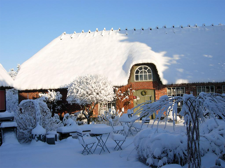 冬季植物花園園林維護(hù)工具及園林喂鳥(niǎo)器的相關(guān)提示
