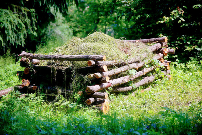 如何制作堆肥來免費喂養(yǎng)你的植物花園（下）