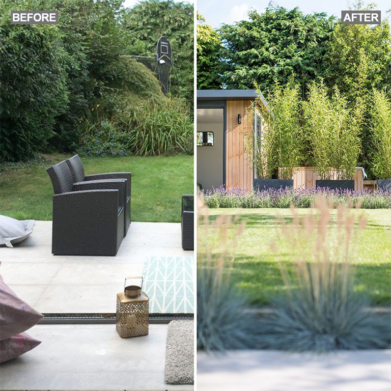 了解如何合理減少綠化以創(chuàng)建實(shí)用的植物花園