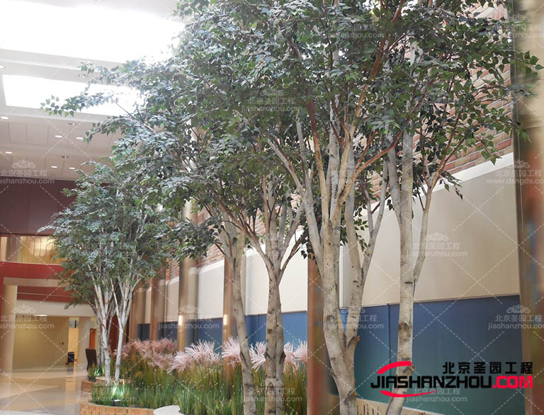 現在社會在不斷的進步，現在的仿真樹行業也在蒸蒸日上