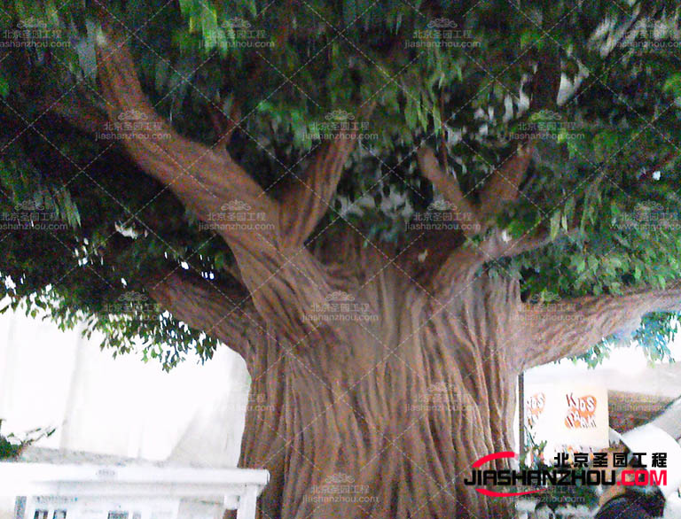 仿真樹采用高品質的材料和工藝制作而成無論是從外觀都非常