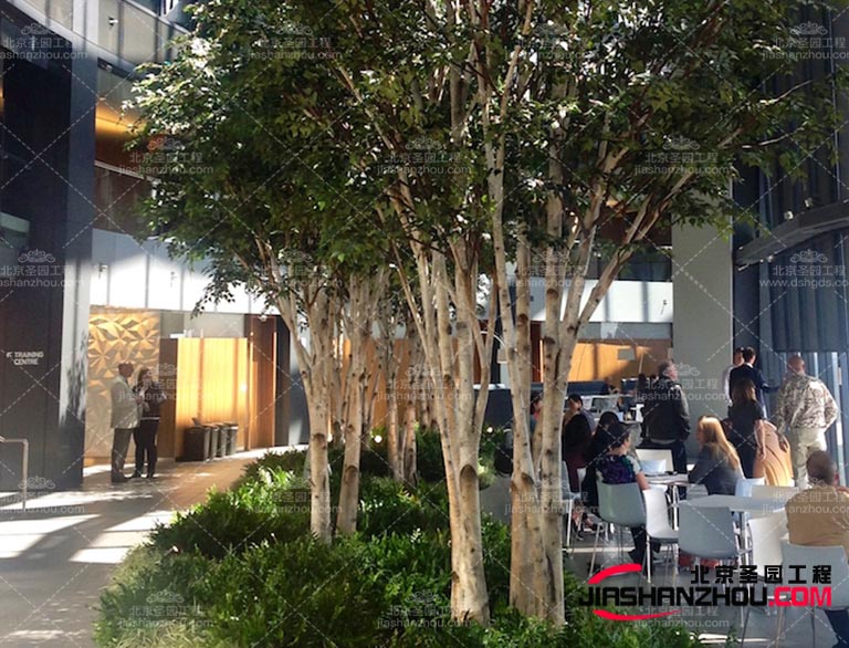 仿真樹在許多文化中都有特殊的象征意義我們可以利用這些文化