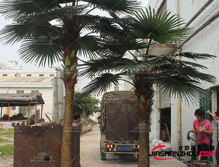 成都仿真樹廠家支持按需定制 歡迎致電仿真樹獲取多優惠