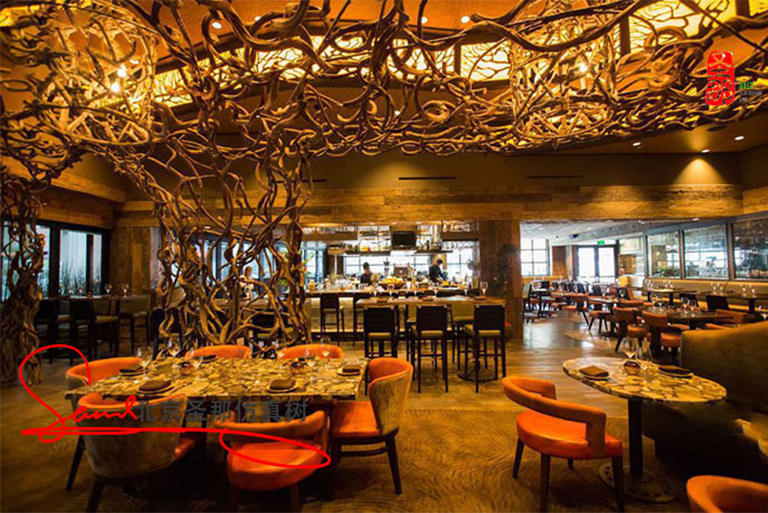 四川南充仿真樹光影交錯間偷得浮生半日閑讓心靈得以棲息