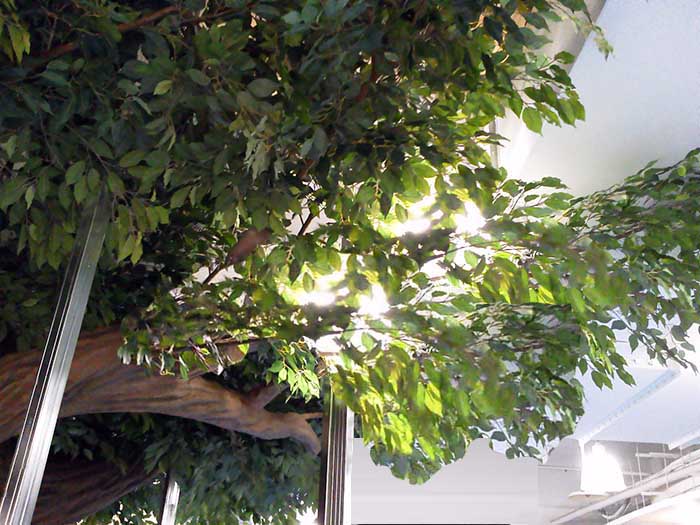 泡沫仿真樹(shù).jpg 泡沫仿真樹(shù)