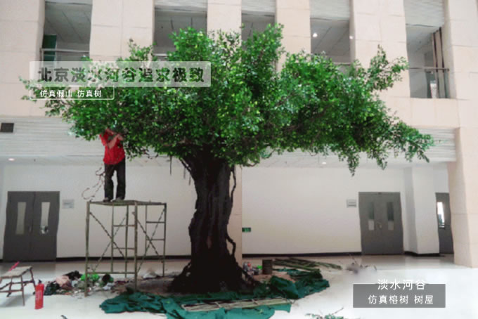 1497519812719529.jpg 124726337.jpg