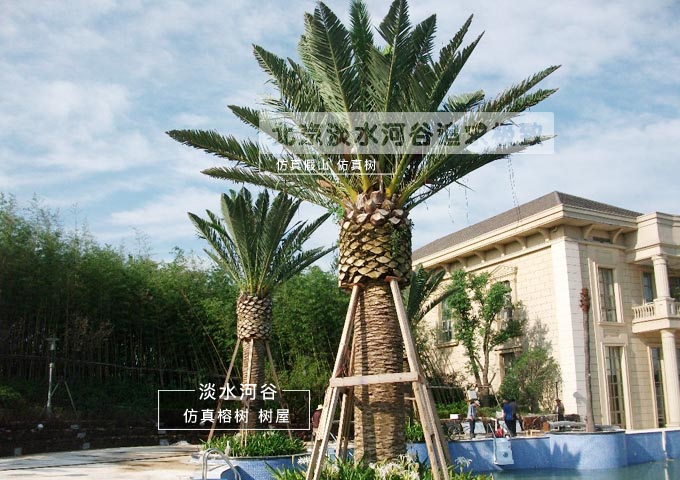 1499394207536993.jpg wKhQulJkwVCEKV96AAAAAFjQwYE603.jpg