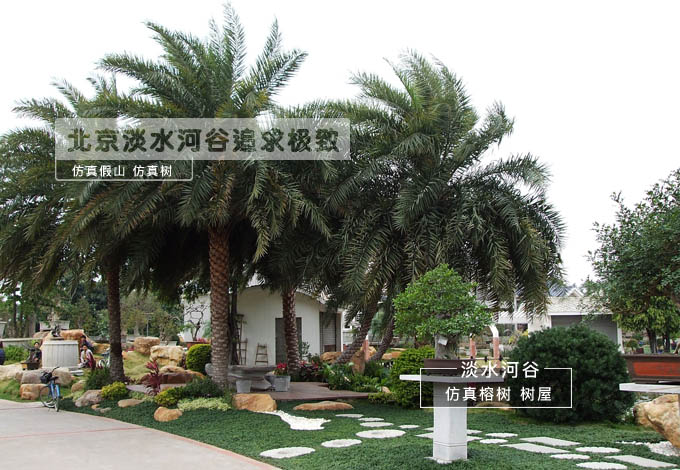 仿真海棗樹.jpg 仿真海棗樹