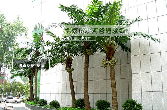 仿真椰子樹.jpg 仿真椰子樹