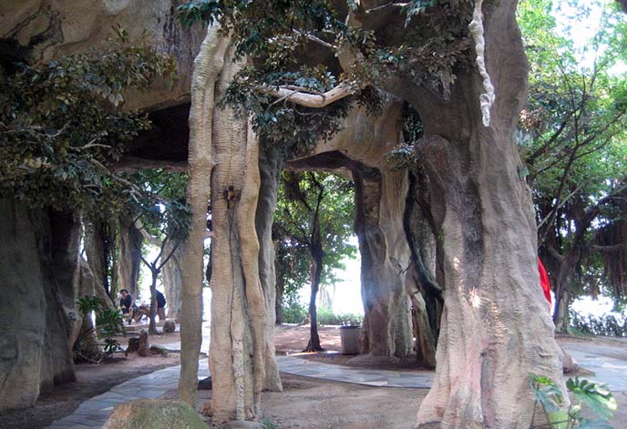 仿真榕樹(shù).jpg 仿真榕樹(shù)