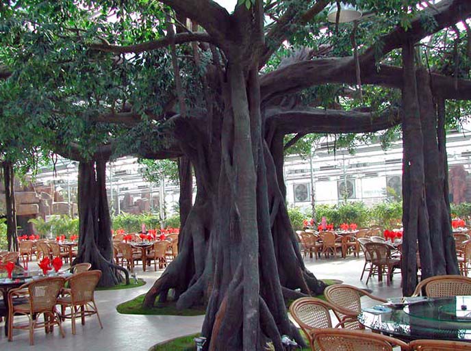 仿真榕樹(shù).jpg 仿真榕樹(shù)