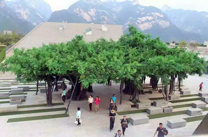 仿真榕樹.jpg 仿真榕樹