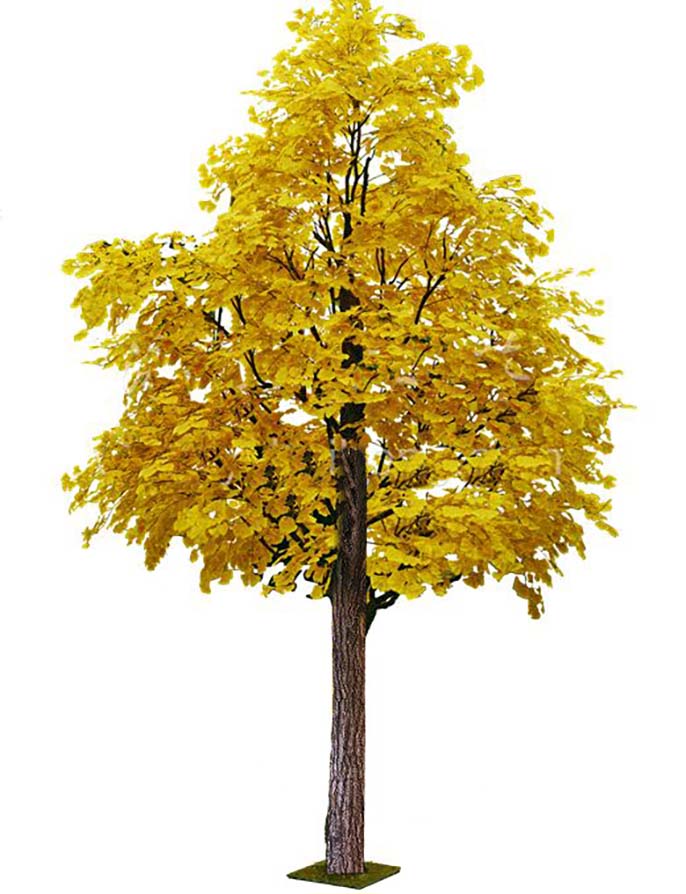 仿真銀杏樹.jpeg 仿真銀杏樹