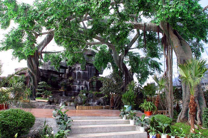 仿真樹.jpg 仿真樹