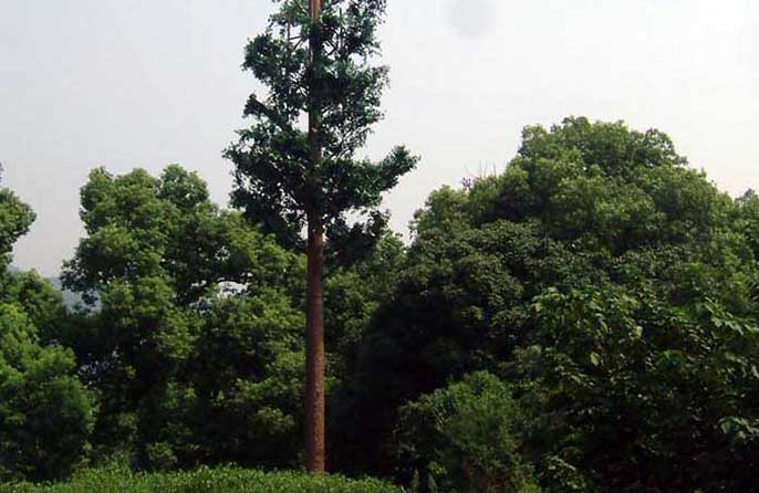 仿真信號塔樹.jpg 仿真信號塔樹