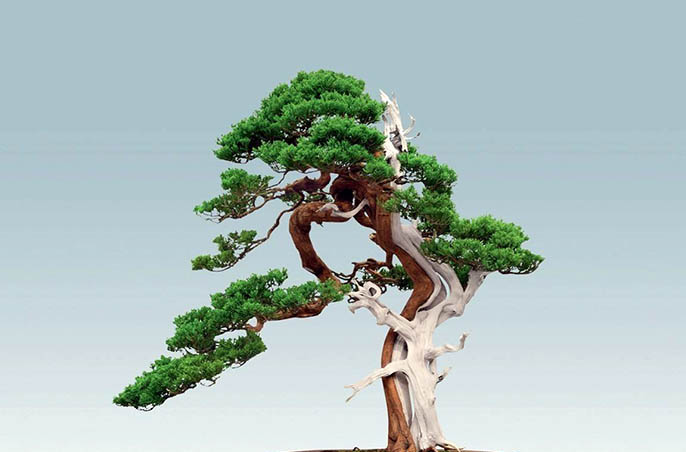 仿真柏樹.jpeg 仿真柏樹