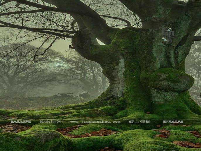 仿真樹.jpg 仿真樹