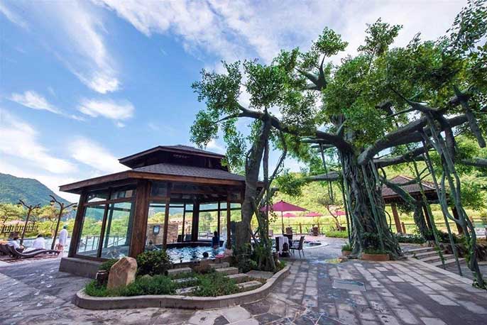 仿真榕樹.jpeg 仿真榕樹