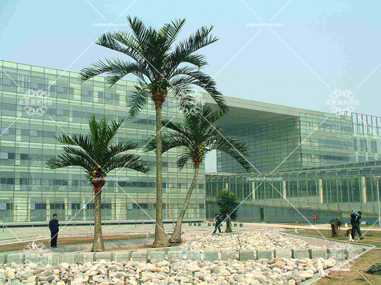 仿真樹.jpg 仿真樹