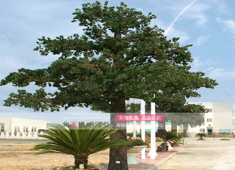 仿真樹.jpg 仿真樹