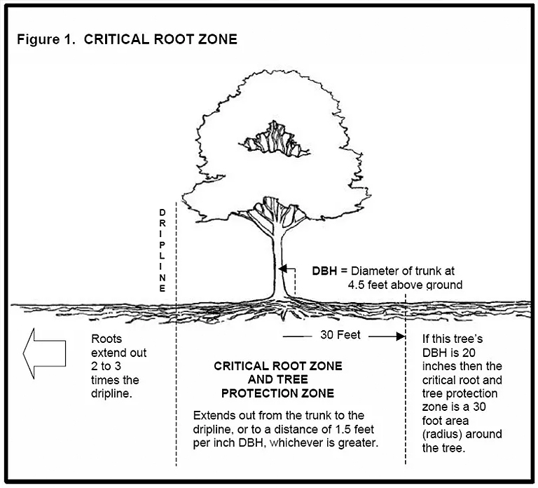 仿真樹.jpg 仿真樹