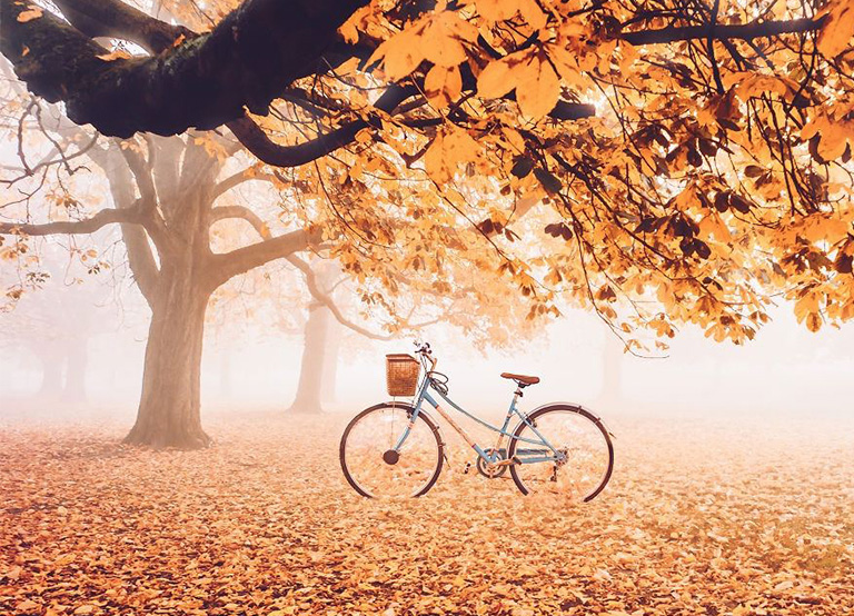 仿真樹(shù).jpg 仿真樹(shù)