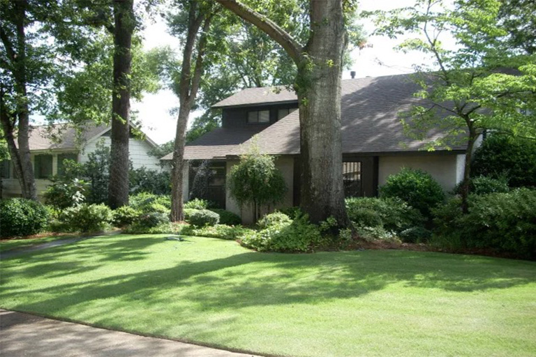 仿真樹.jpg 仿真樹