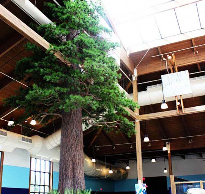 仿真大松樹.jpg 仿真大松樹