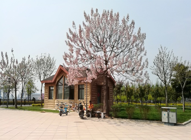 仿真樹(shù).jpg 仿真樹(shù)