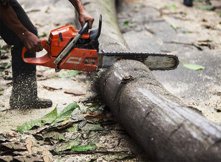 便攜式鋸木.jpg 便攜式鋸木