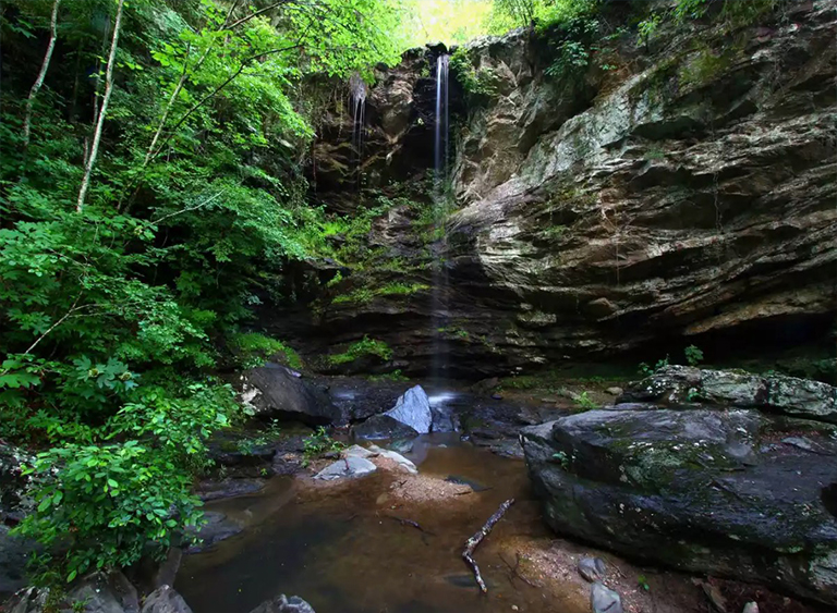 塔拉迪加國(guó)家森林公園在阿拉巴馬州.jpg 塔拉迪加國(guó)家森林公園在阿拉巴馬州
