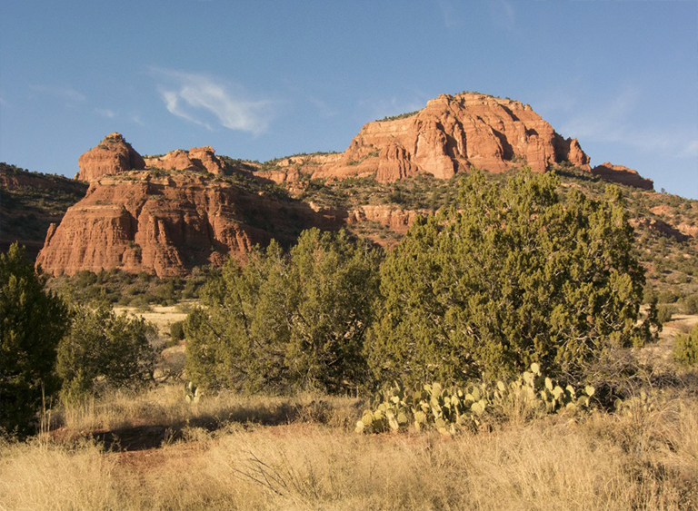 可可諾國(guó)家森林在亞利桑那州.jpg 可可諾國(guó)家森林在亞利桑那州