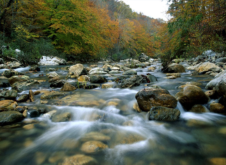 瓦希塔國(guó)家森林公園在阿肯色州.jpg 瓦希塔國(guó)家森林公園在阿肯色州