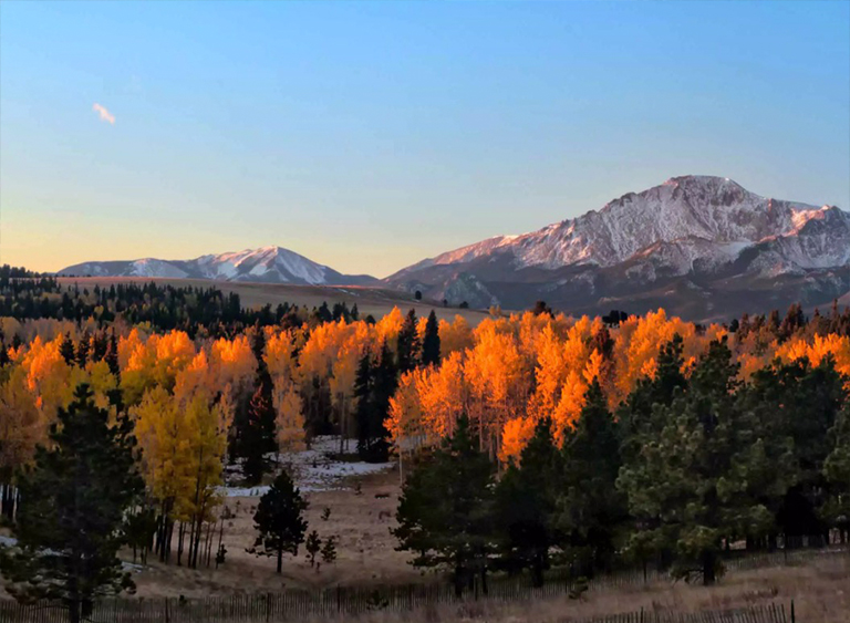 派克國(guó)家森林公園在科羅拉多.jpg 派克國(guó)家森林公園在科羅拉多