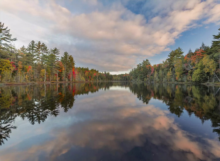 國家森林公園在密歇根州.jpg 國家森林公園在密歇根州