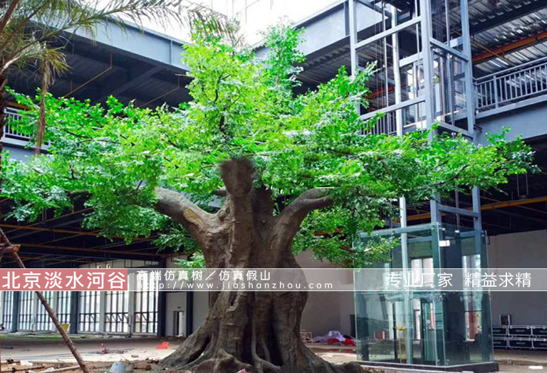 假樹.jpg 假樹
