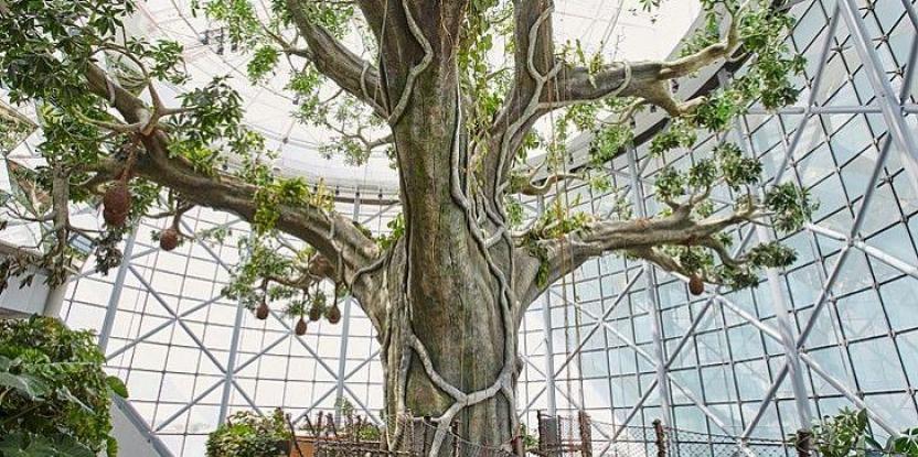 室內(nèi)仿真假樹(shù).jpg 室內(nèi)仿真假樹(shù)