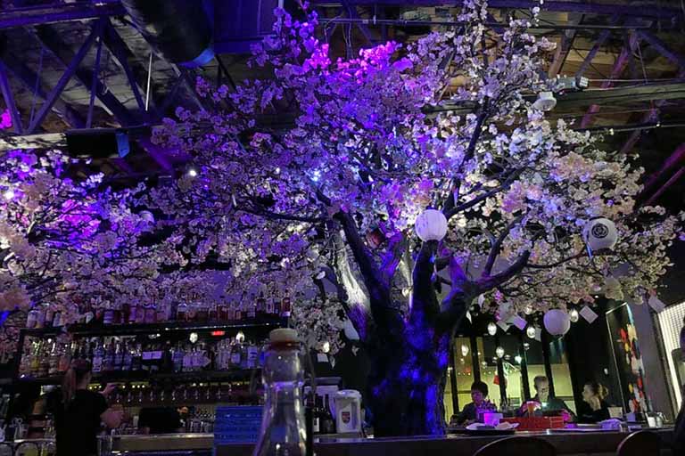 室內(nèi)仿真假樹(shù).jpg 室內(nèi)仿真假樹(shù)