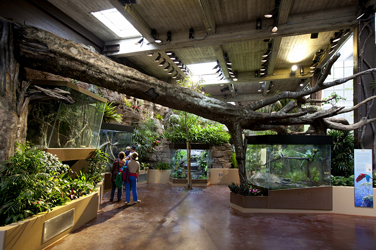 仿真造型樹.jpg 仿真造型樹