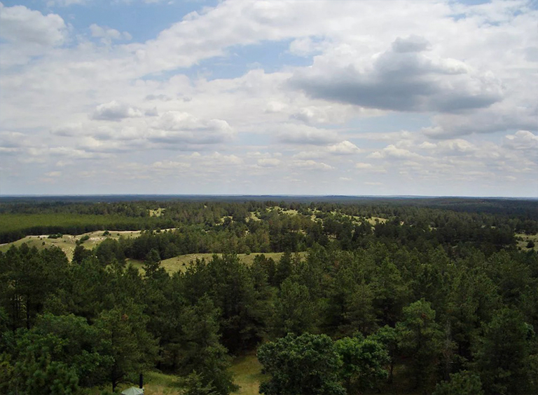 內布拉斯加州國家森林.jpg 內布拉斯加州國家森林