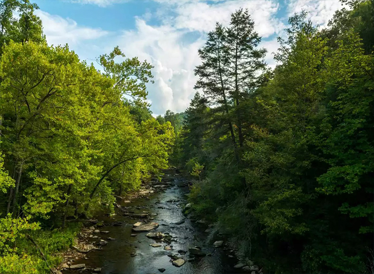 弗吉尼亞州的杰斐遜國家森林.jpg 弗吉尼亞州的杰斐遜國家森林