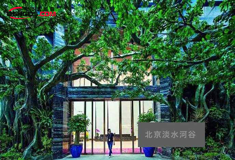 1585643811481440.jpg 122.jpg