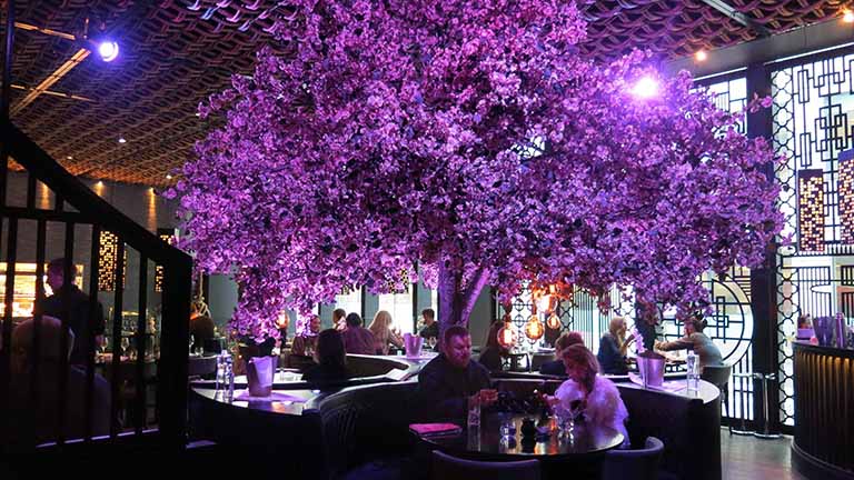 仿真樹皮.jpg 仿真樹皮