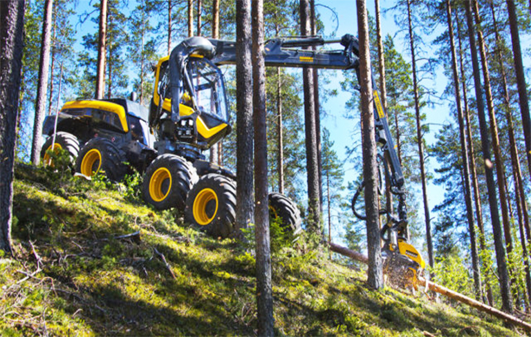 森林砍伐.jpg 森林砍伐